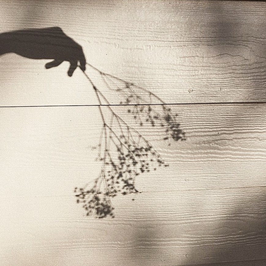 Gölgeye Mektuplar – 1