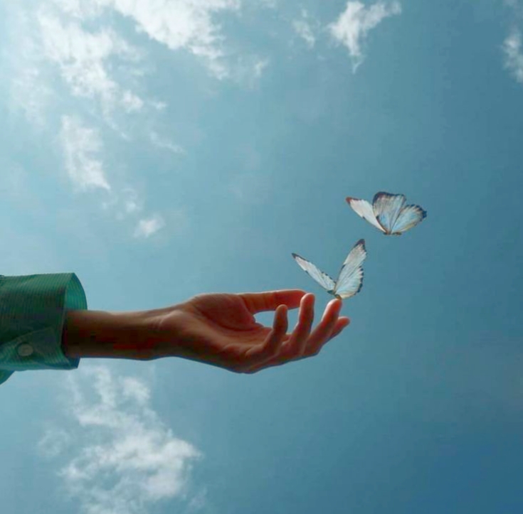 Kelebeğe Mektuplar – 2