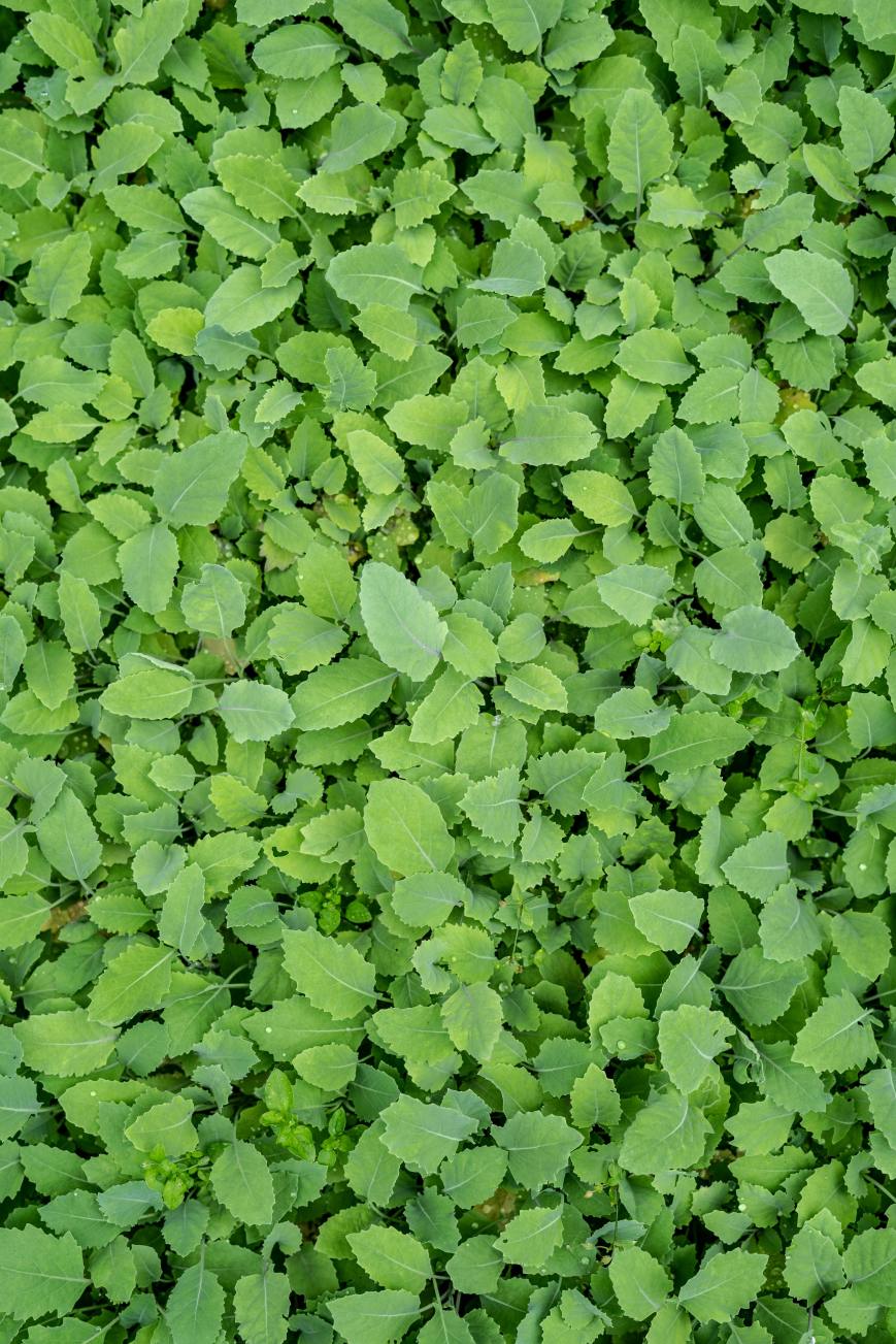 Sessiz Çığlık: İçsel Arayıştaki Yalnız Yürüyüş