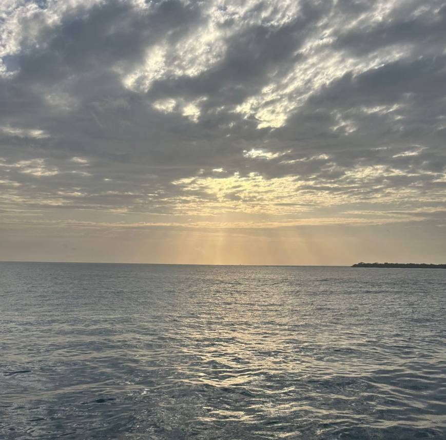 Kuzey Atlasta Mercan