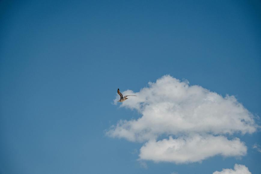 Karanlığın Boğduğu Mavilik