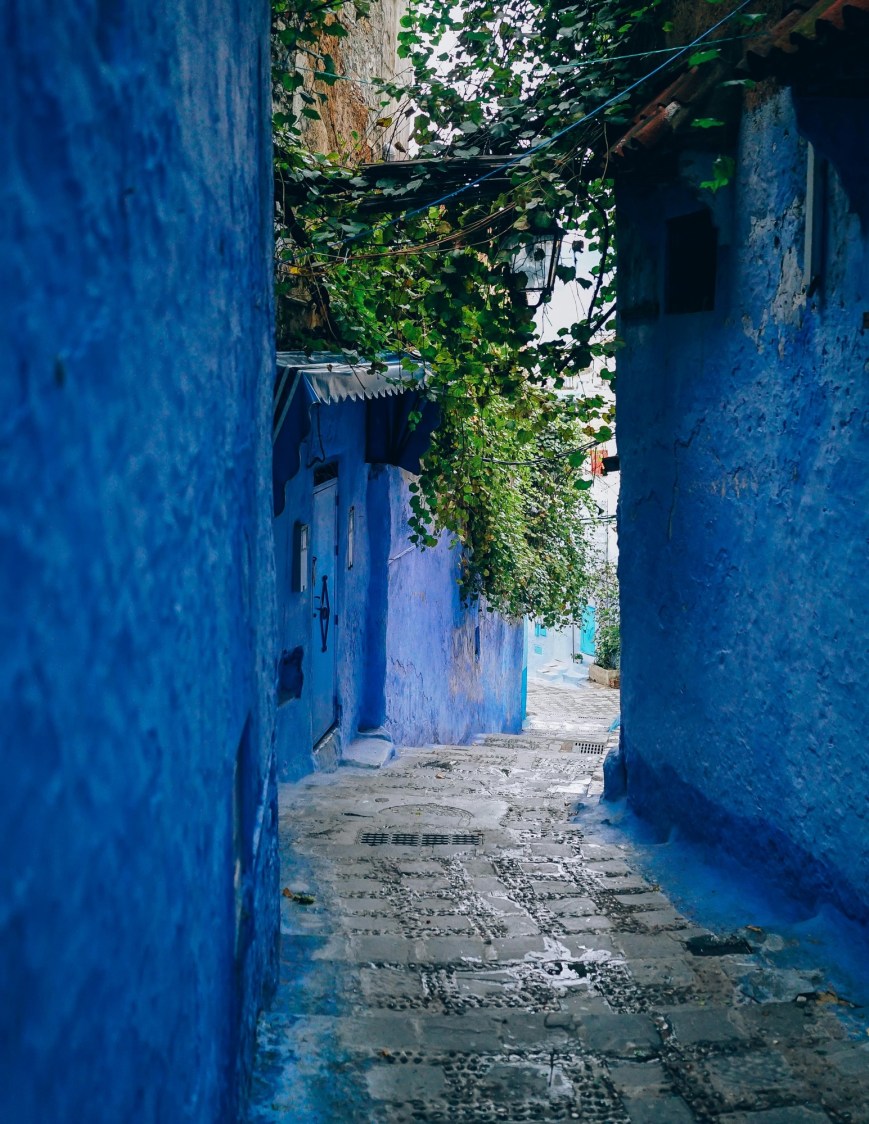 Bulutlara Bağlanan Umut Taneleri