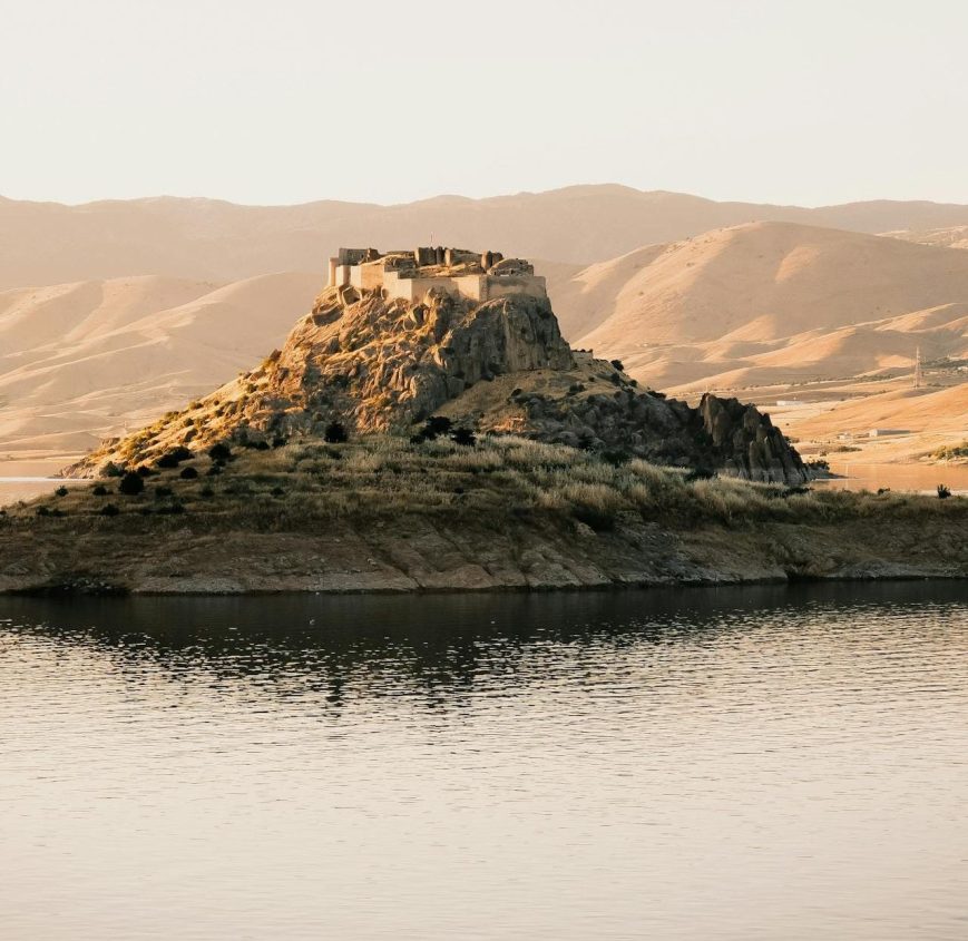 Kendini İmha Butonu